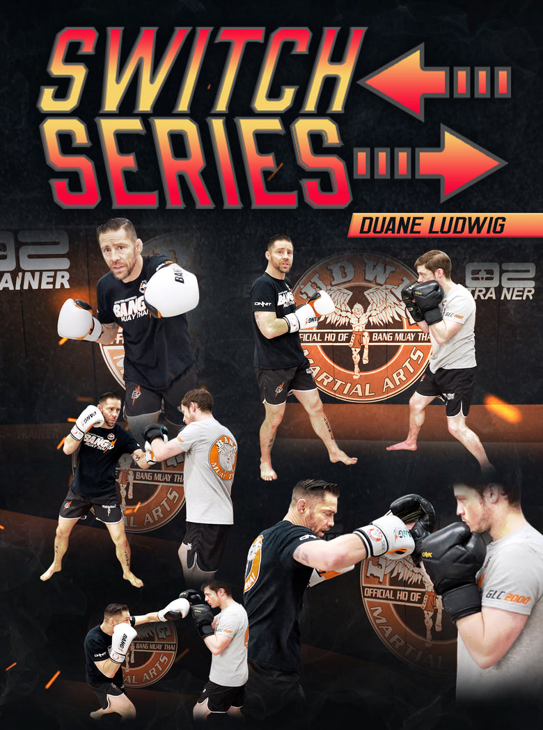 Switch Series by Duane Ludwig - Dynamic Striking